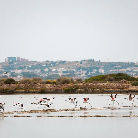 Penzion Sei - Isola Lunga