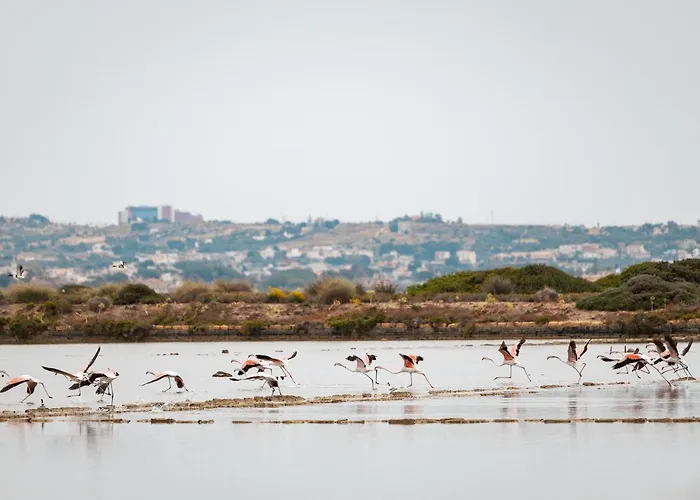 Gasthof Sei - Isola Lunga
